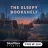 The Sleepy Bookshelf Premium (🔓 for Niklas Heer)
